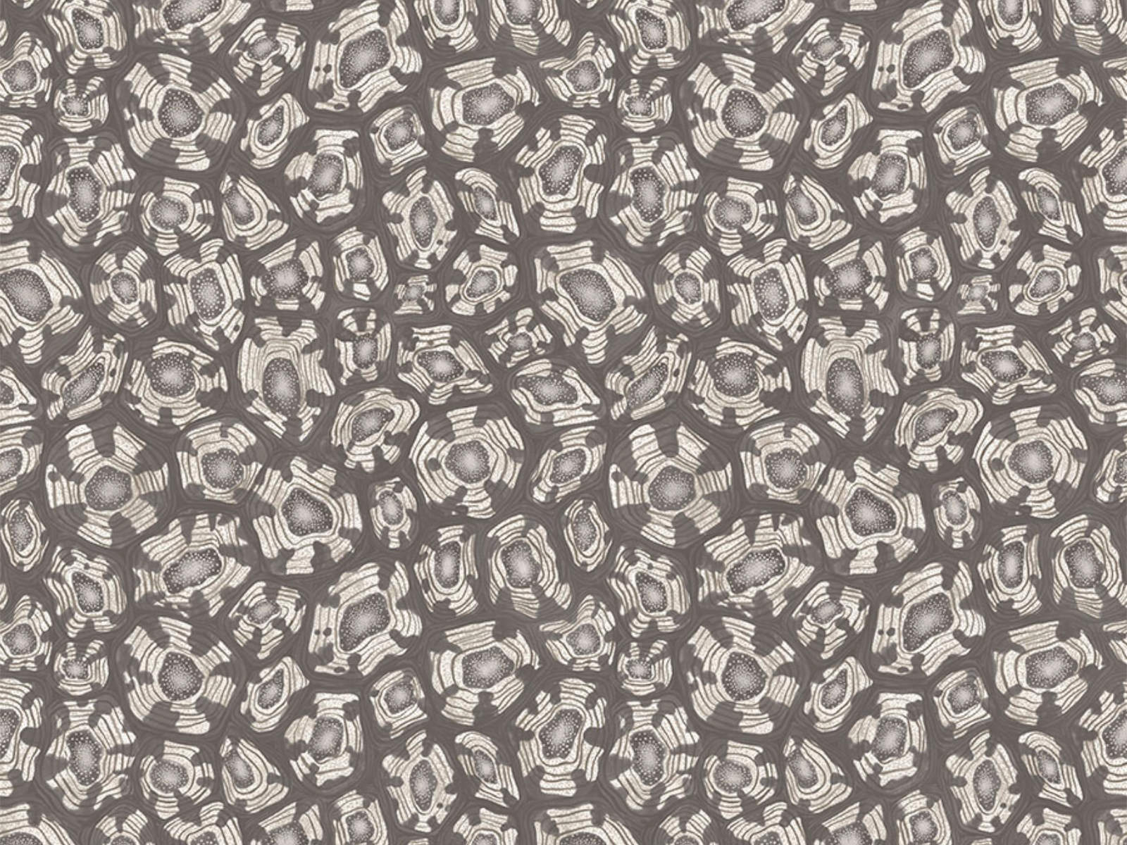 Cole & Son Ardmore Jabula Savanna Shell - 119/4023