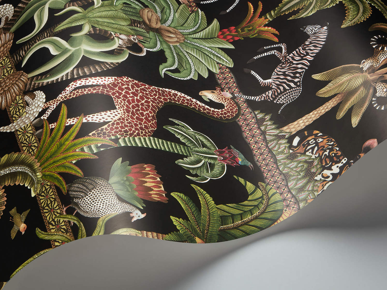 Cole & Son Ardmore Jabula Afrika Kingdom - 119/5027