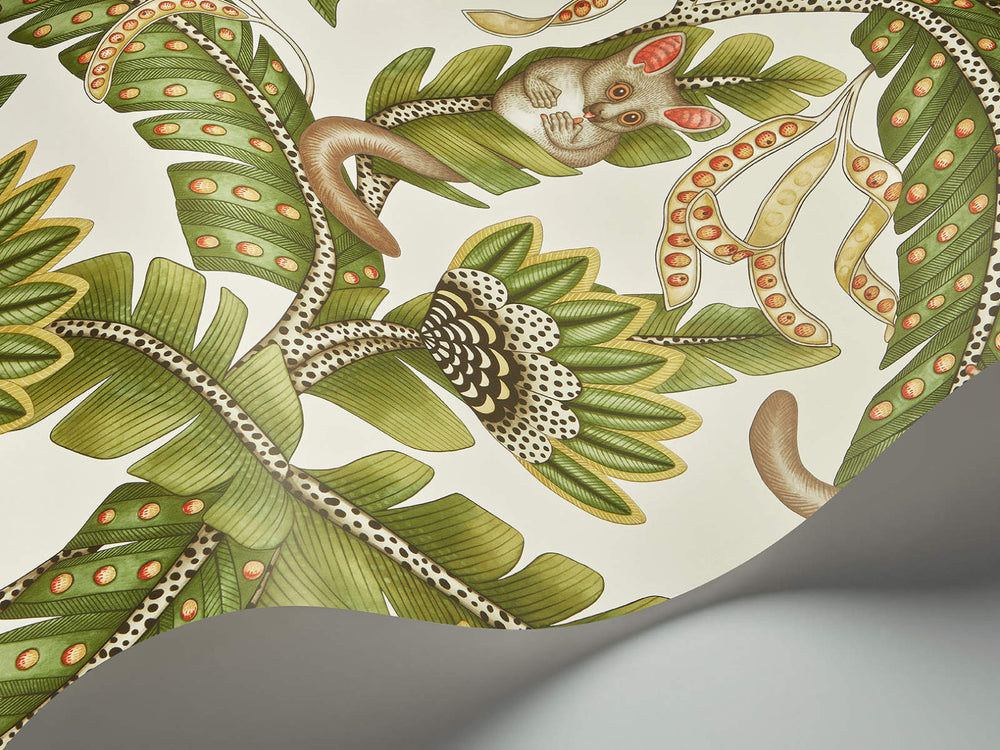 Cole & Son Ardmore Jabula Bush Baby - 119/7032