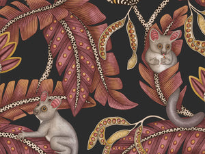 Cole & Son Ardmore Jabula Bush Baby - 119/7033