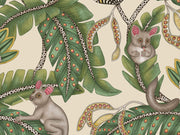 Cole & Son Ardmore Jabula Bush Baby - 119/7035