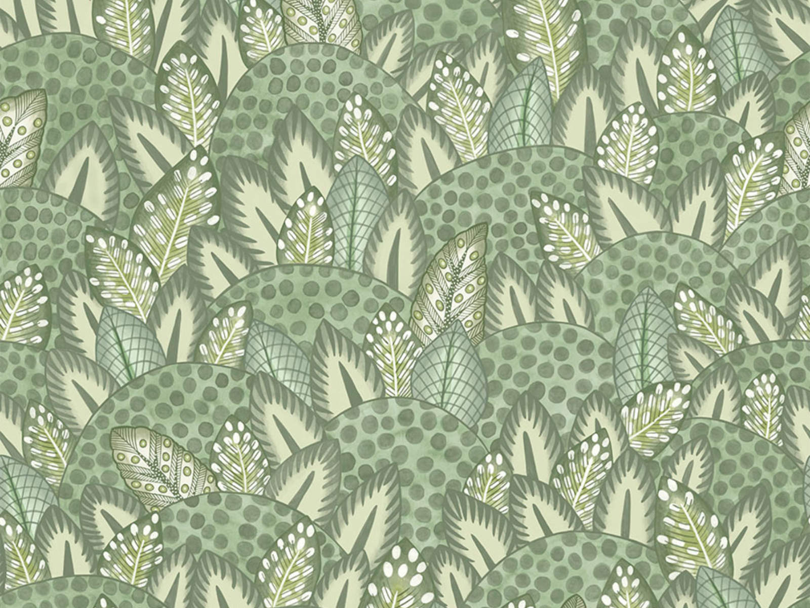 Cole & Son Ardmore Jabula Zulu Terrain - 119/9041