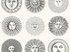 Cole & Son Fornasetti Senza Tempo II - Soli - 123/1001