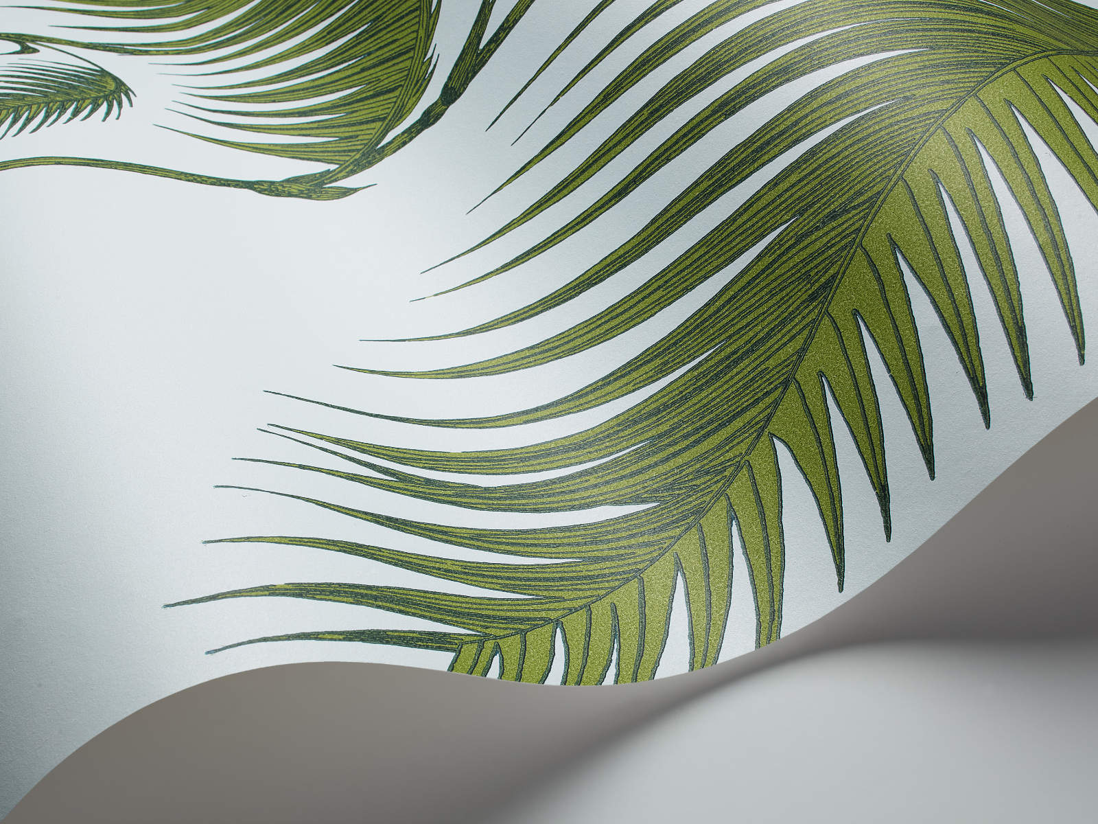 Cole & Son The Contemporary Collection Palm Leaves - 66/2010