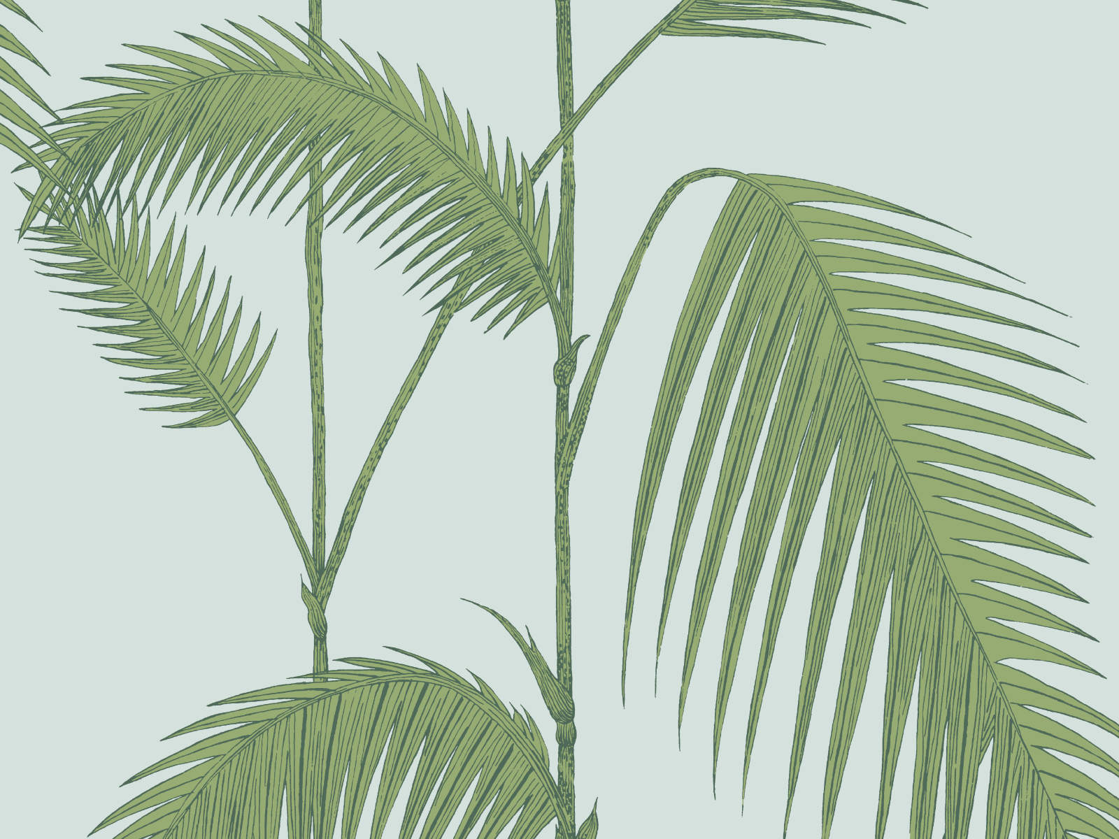 Cole & Son The Contemporary Collection Palm Leaves - 66/2010