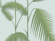 Cole & Son The Contemporary Collection Palm Leaves - 66/2010