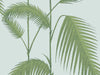 Cole & Son The Contemporary Collection Palm Leaves - 66/2010