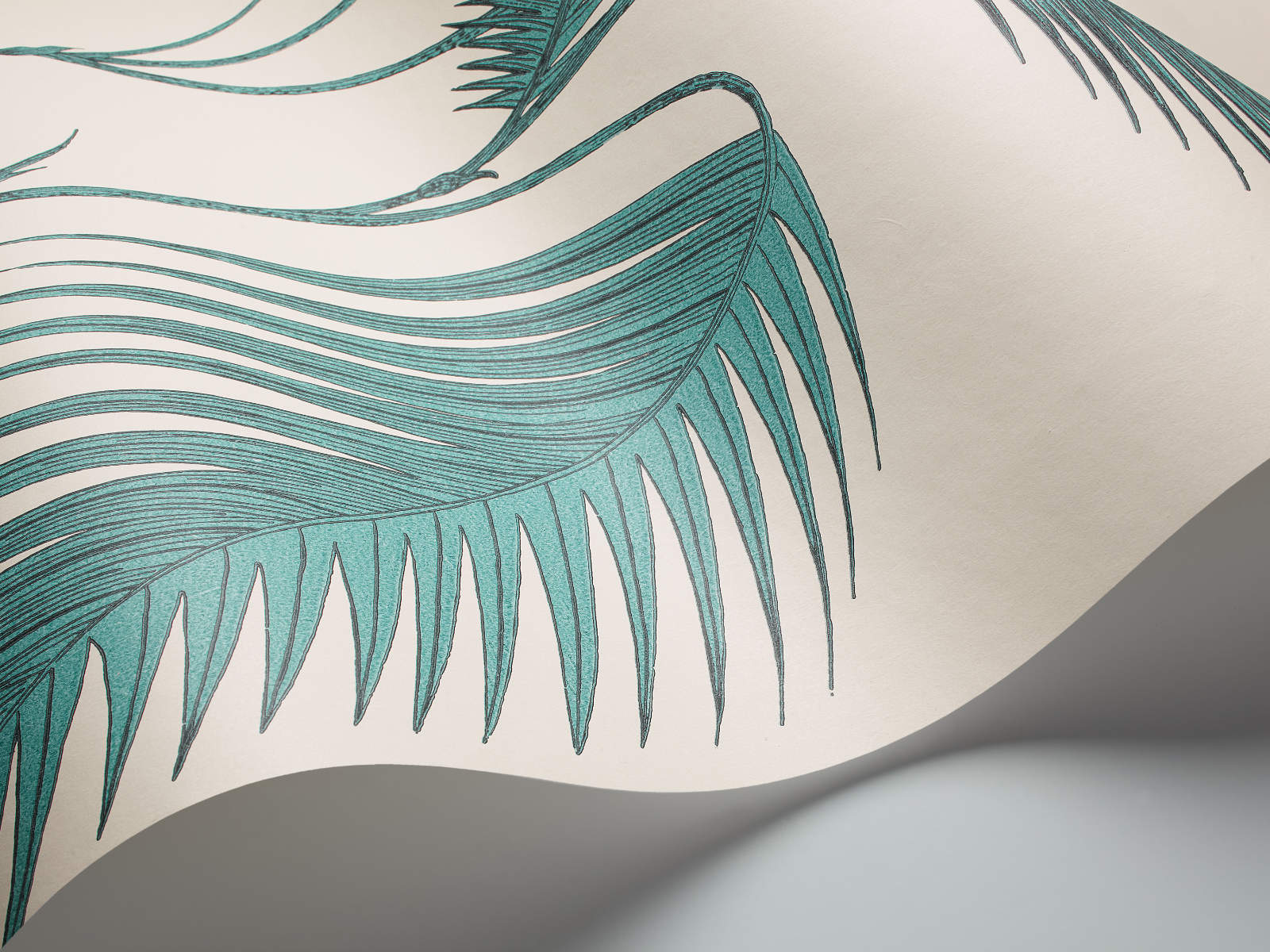 Cole & Son The Contemporary Collection Palm Leaves - 66/2012