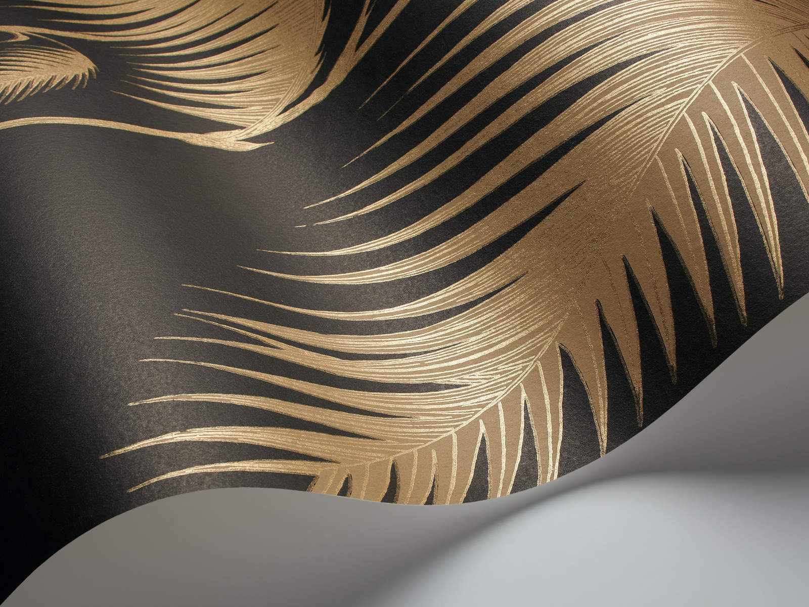 Cole & Son The Contemporary Collection Palm Leaves - 66/2014