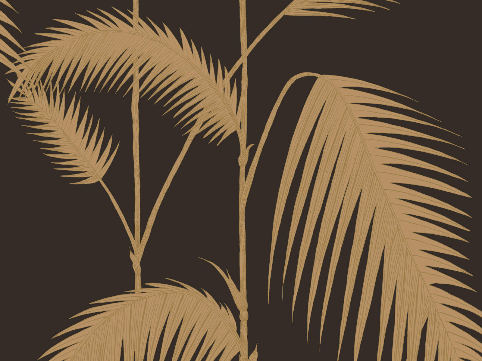 Cole & Son The Contemporary Collection Palm Leaves - 66/2014
