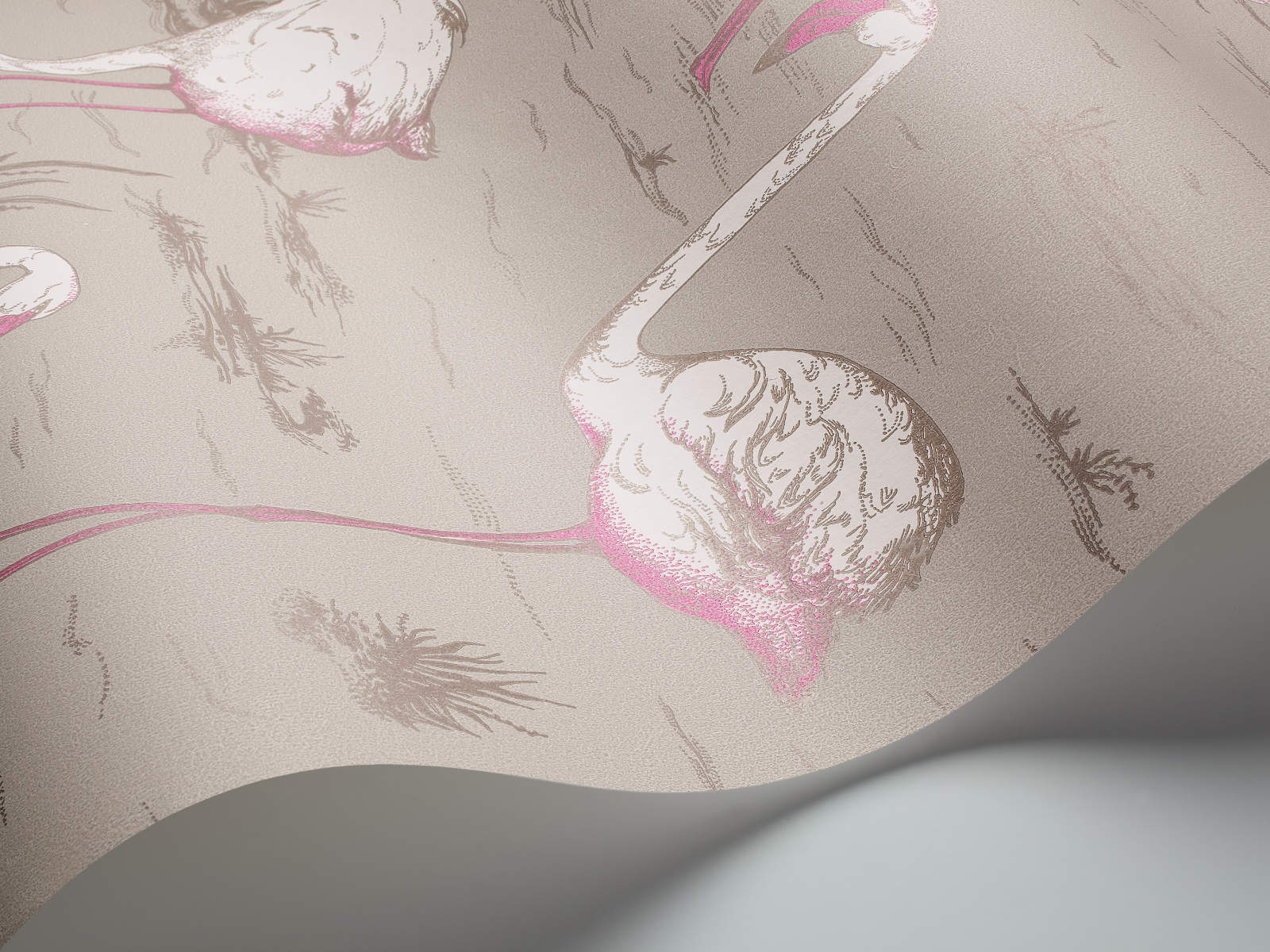 Cole & Son The Contemporary Collection Flamingos - 66/6042