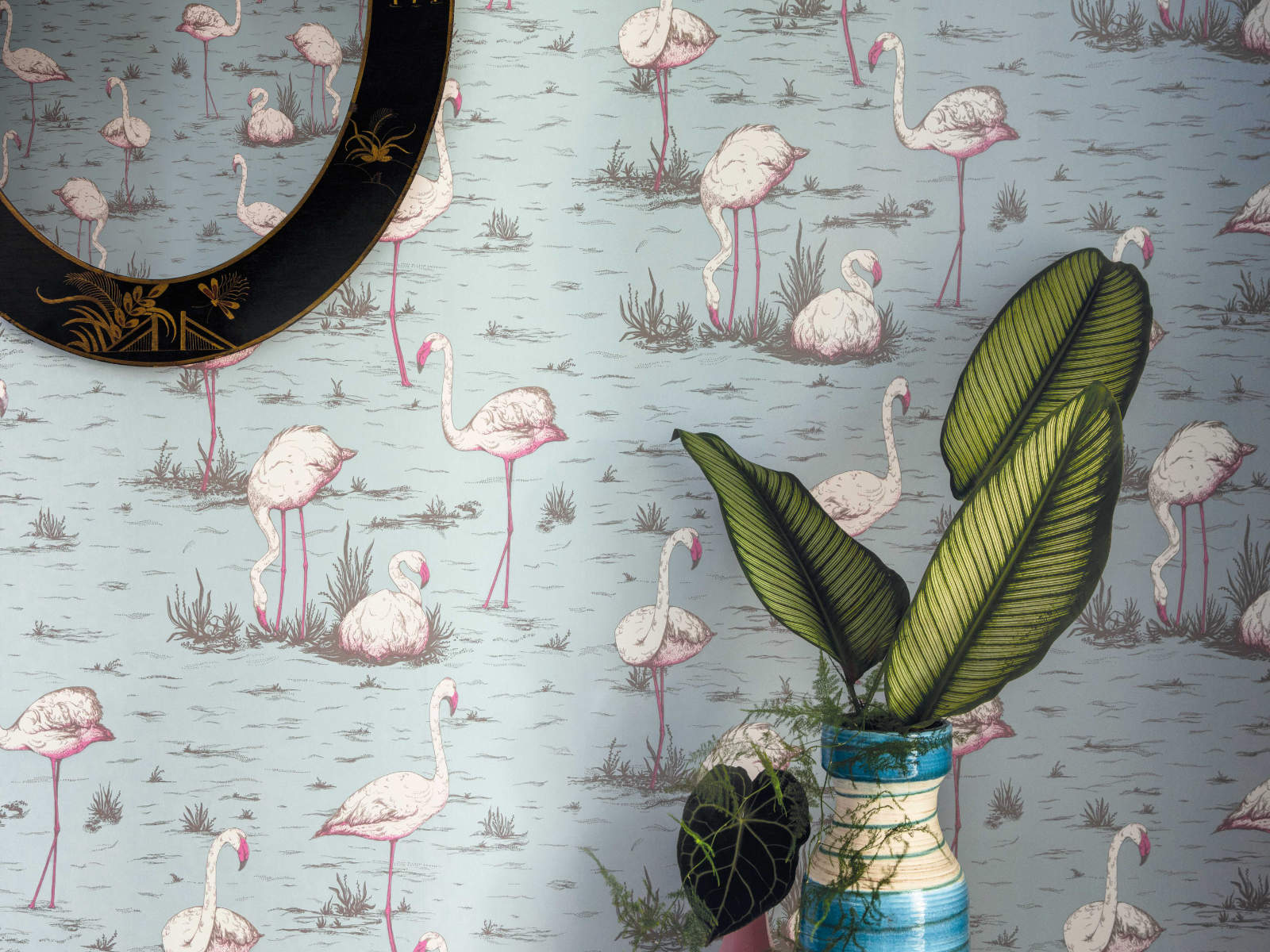 Cole & Son The Contemporary Collection Flamingos - 66/6044
