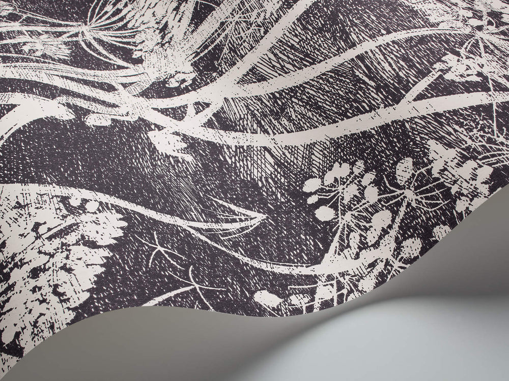 Cole & Son The Contemporary Collection Cow Parsley - 66/7046