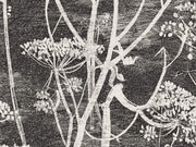 Cole & Son The Contemporary Collection Cow Parsley - 66/7046