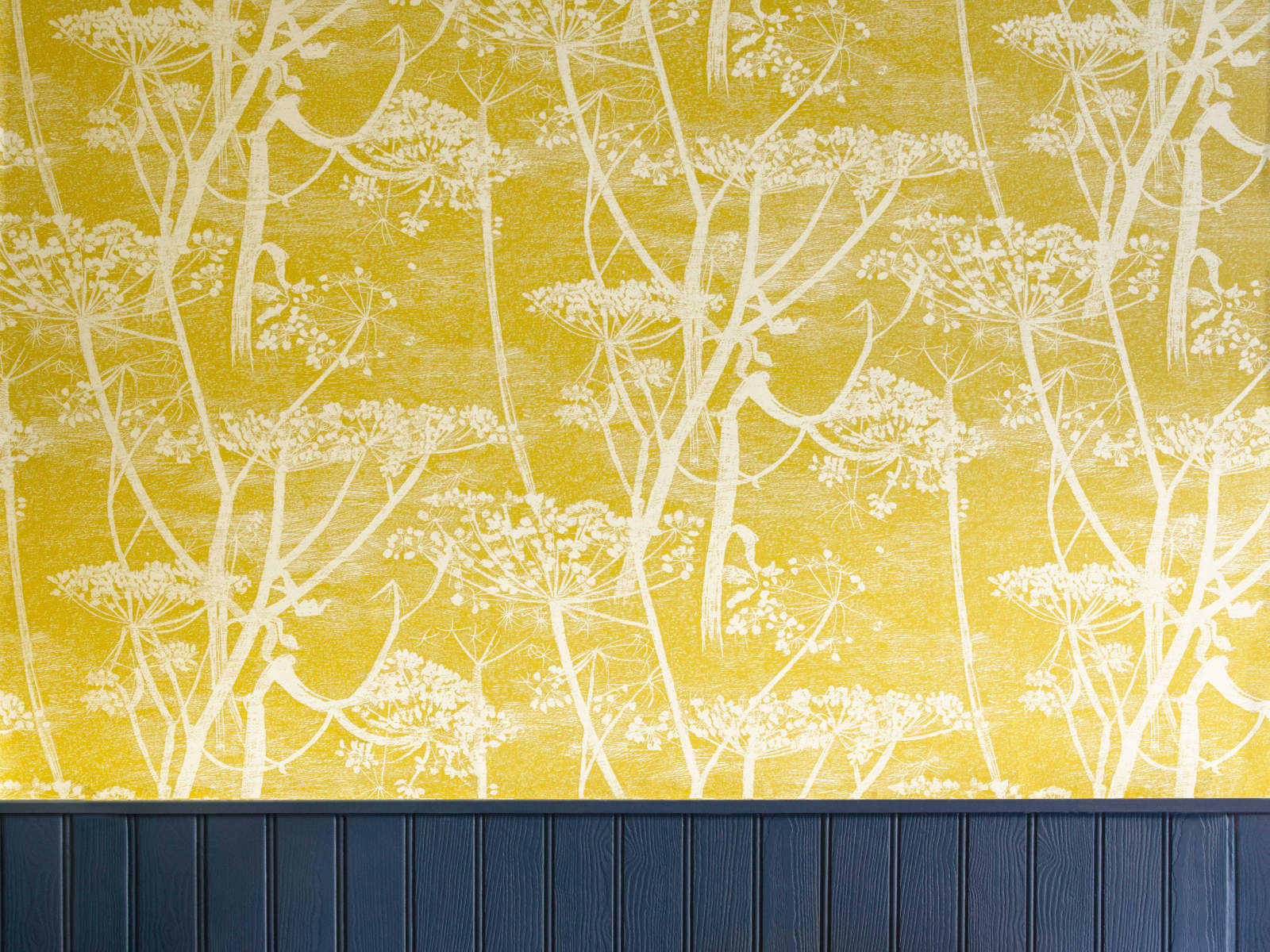 Cole & Son The Contemporary Collection Cow Parsley - 66/7051