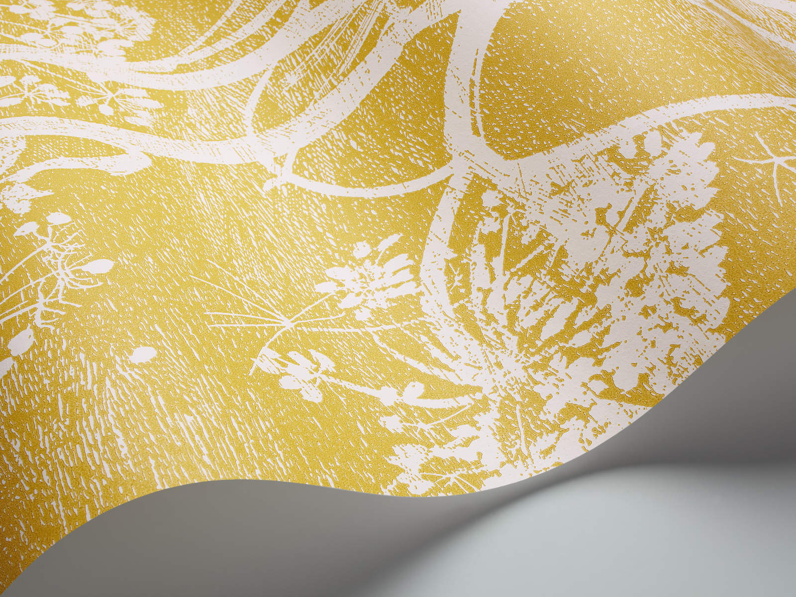 Cole & Son The Contemporary Collection Cow Parsley - 66/7051