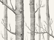 Cole & Son The Contemporary Collection Woods - 69/12147