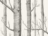 Cole & Son The Contemporary Collection Woods - 69/12147