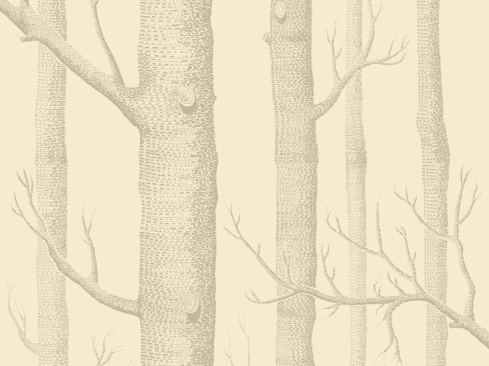 Cole & Son The Contemporary Collection Woods - 69/12148