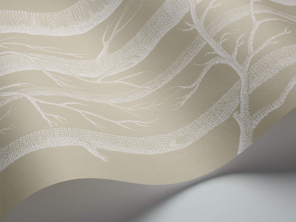 Cole & Son The Contemporary Collection Woods - 69/12149