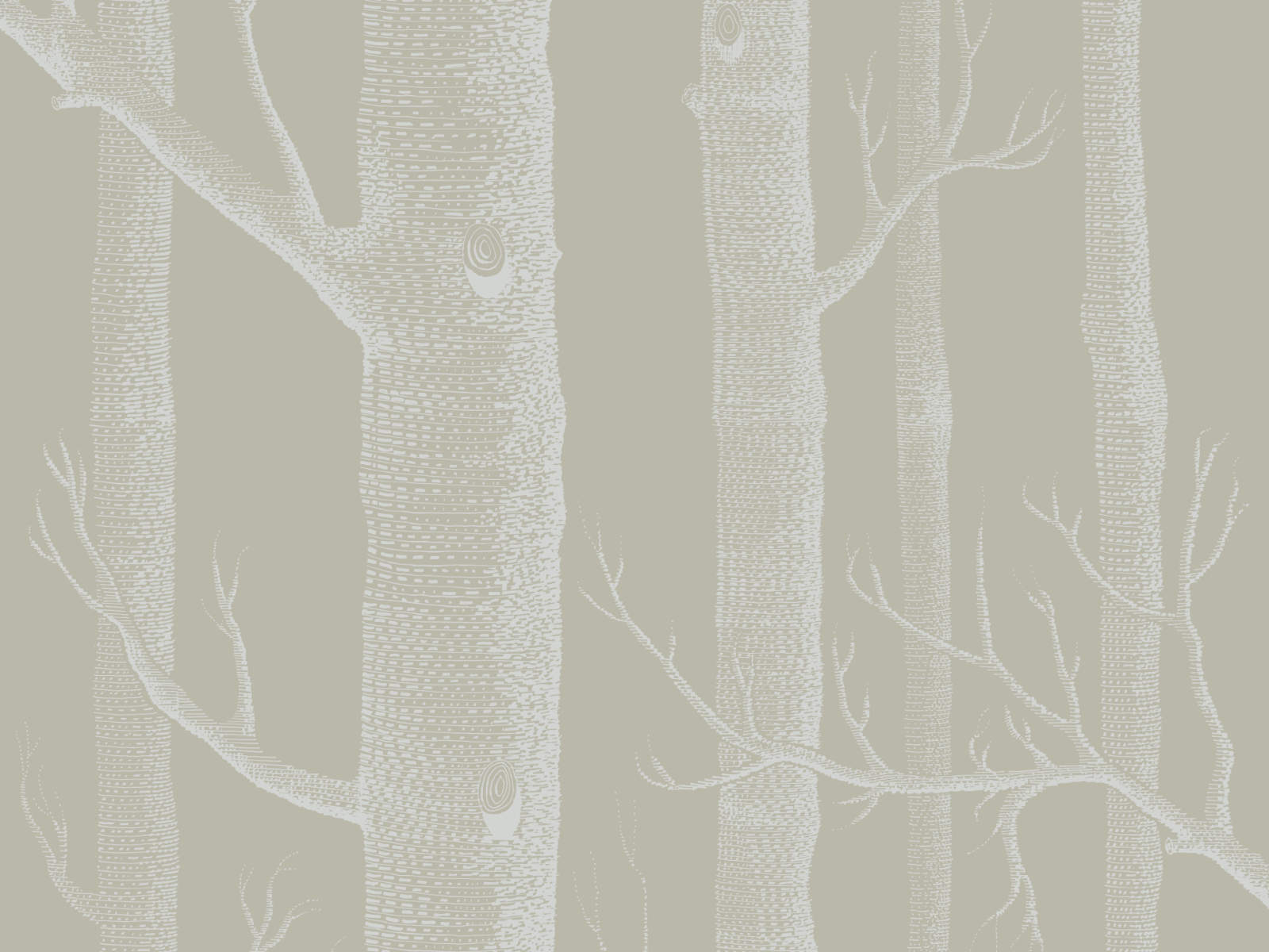 Cole & Son The Contemporary Collection Woods - 69/12149