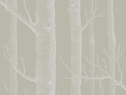 Cole & Son The Contemporary Collection Woods - 69/12149
