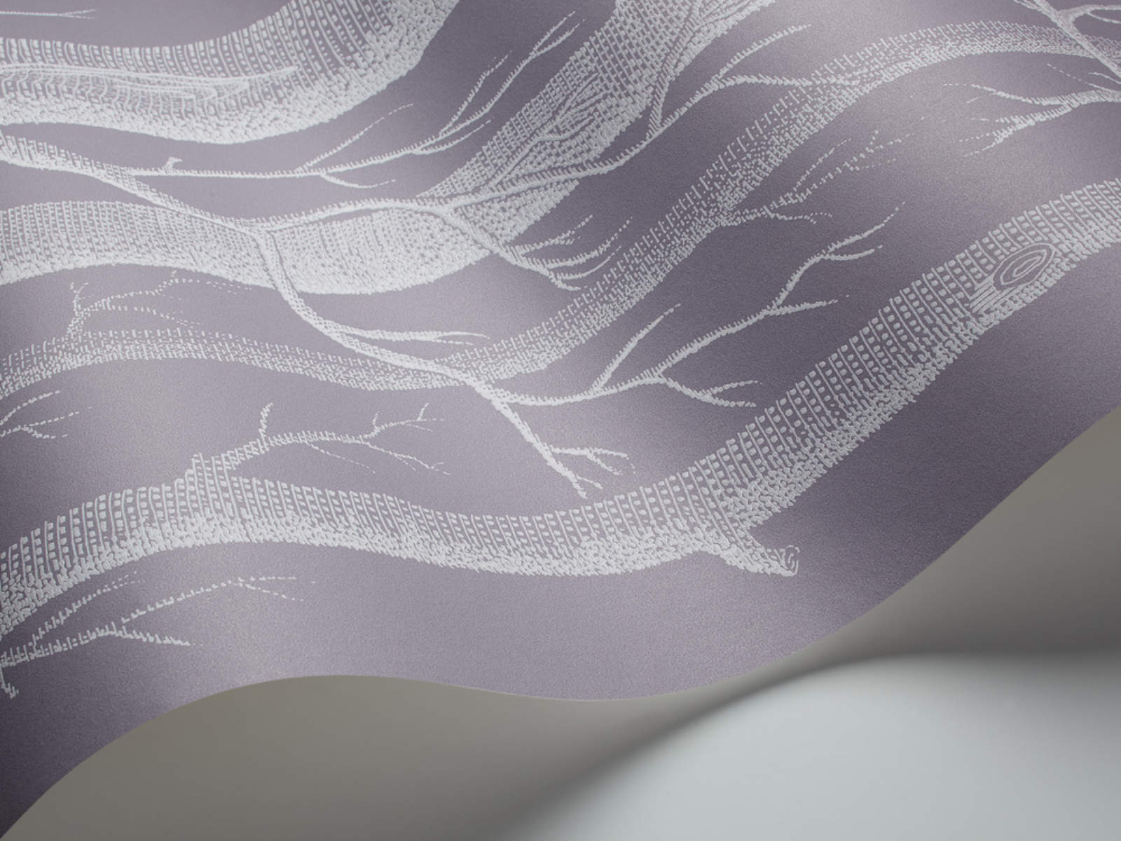Cole & Son The Contemporary Collection Woods - 69/12151