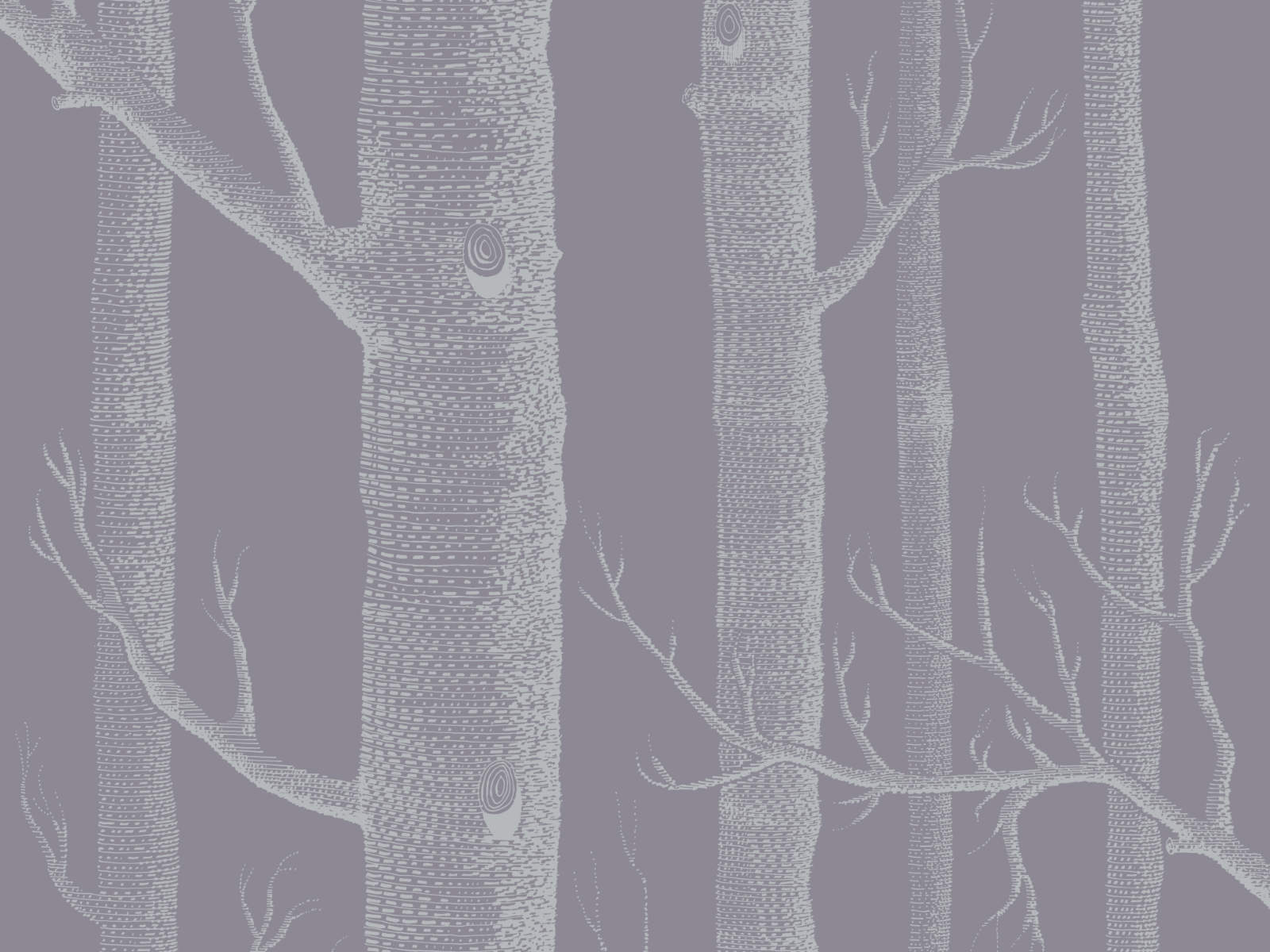Cole & Son The Contemporary Collection Woods - 69/12151