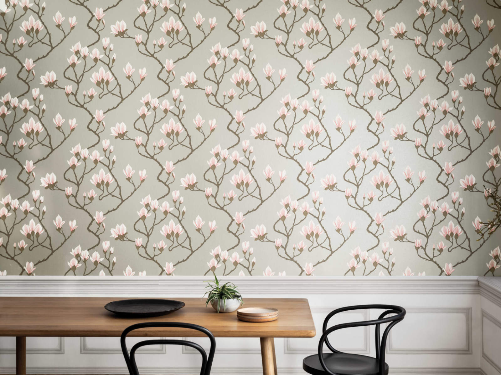 Cole & Son The Contemporary Collection Magnolia - 72/3010