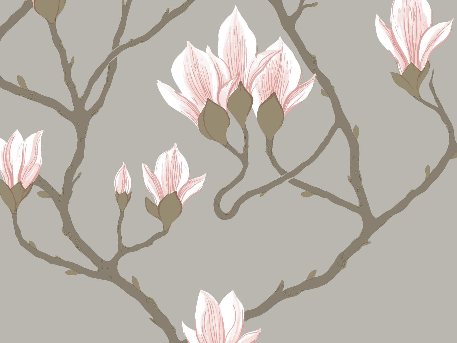 Cole & Son The Contemporary Collection Magnolia - 72/3010