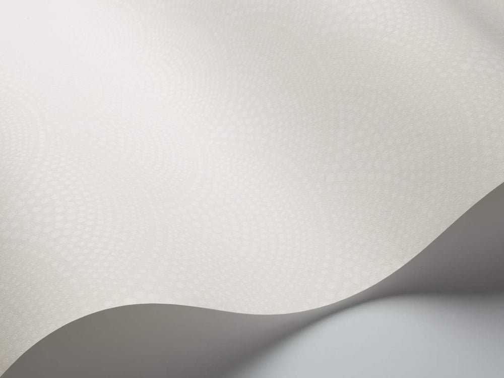 Cole & Son The Contemporary Collection Feather Fan - 89/4015