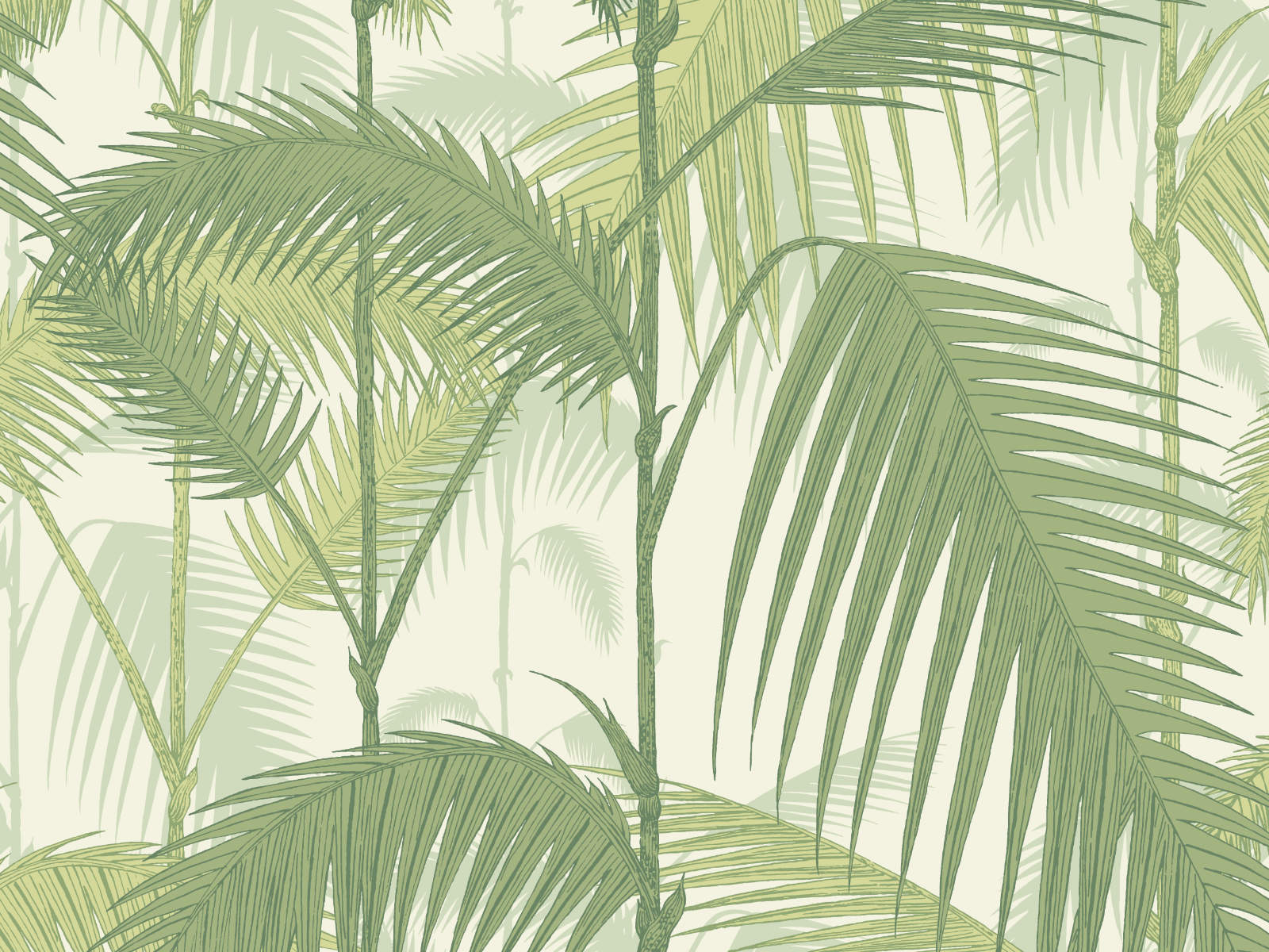Cole & Son The Contemporary Collection Palm Jungle - 95/1001