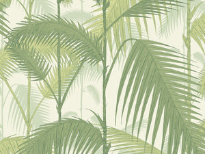 Cole & Son The Contemporary Collection Palm Jungle - 95/1001
