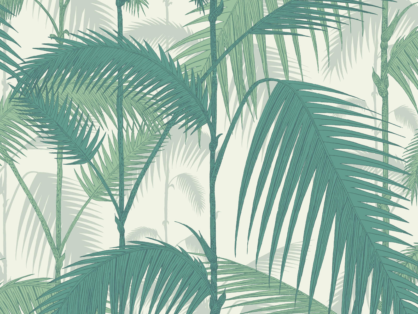 Cole & Son The Contemporary Collection Palm Jungle - 95/1002