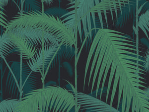 Cole & Son The Contemporary Collection Palm Jungle - 95/1003