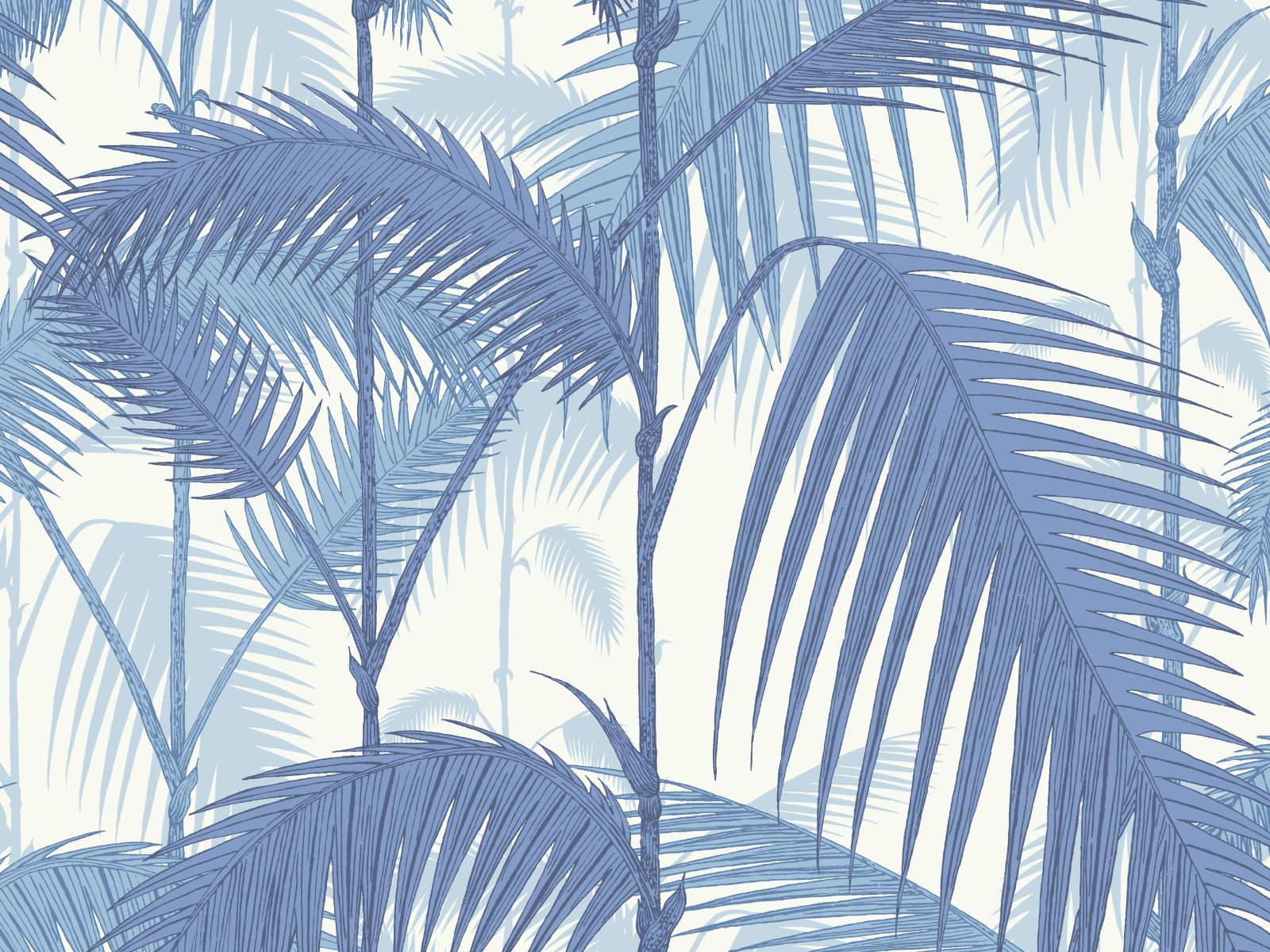Cole & Son The Contemporary Collection Palm Jungle - 95/1005