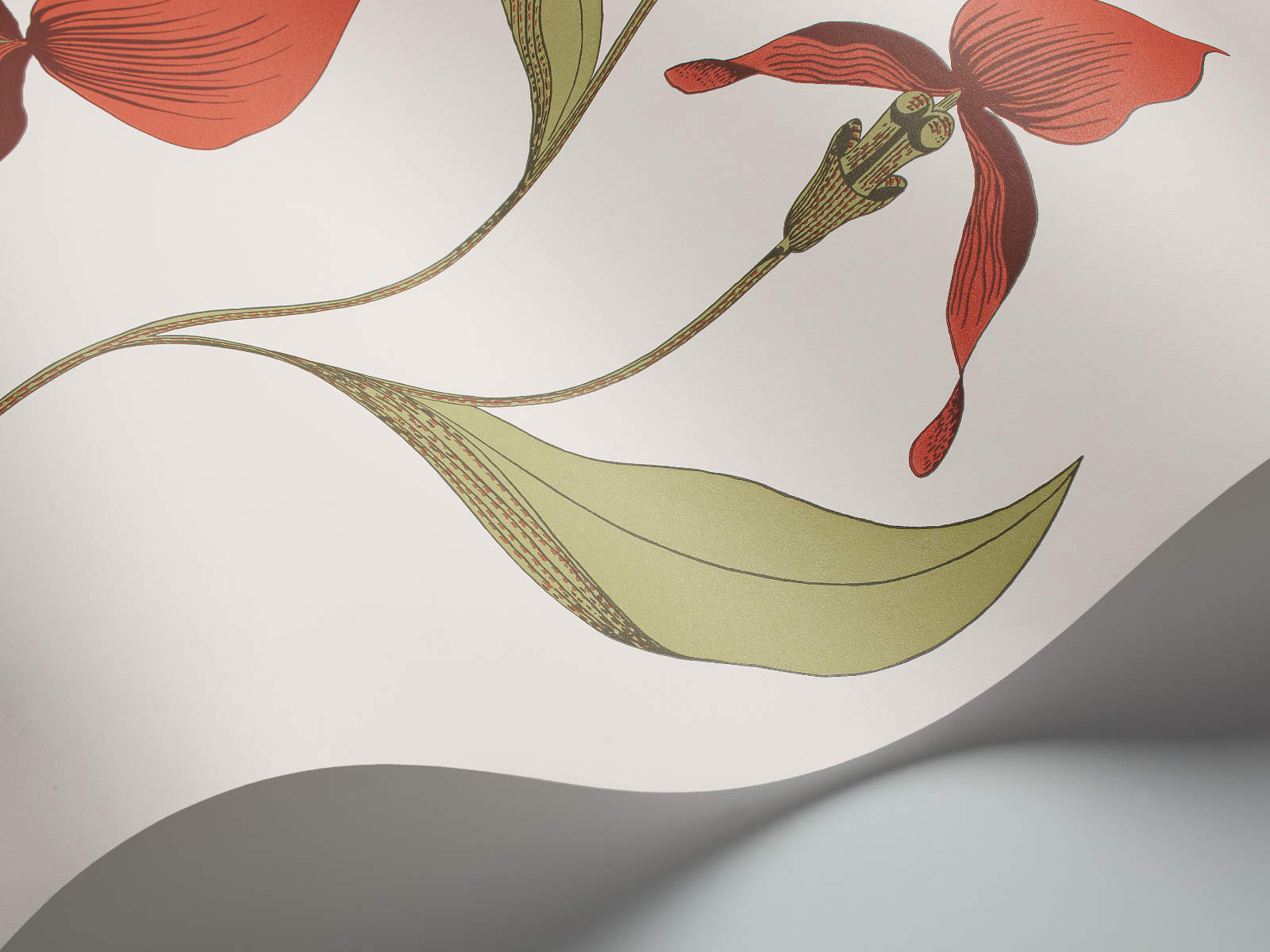 Cole & Son The Contemporary Collection Orchid - 95/10054