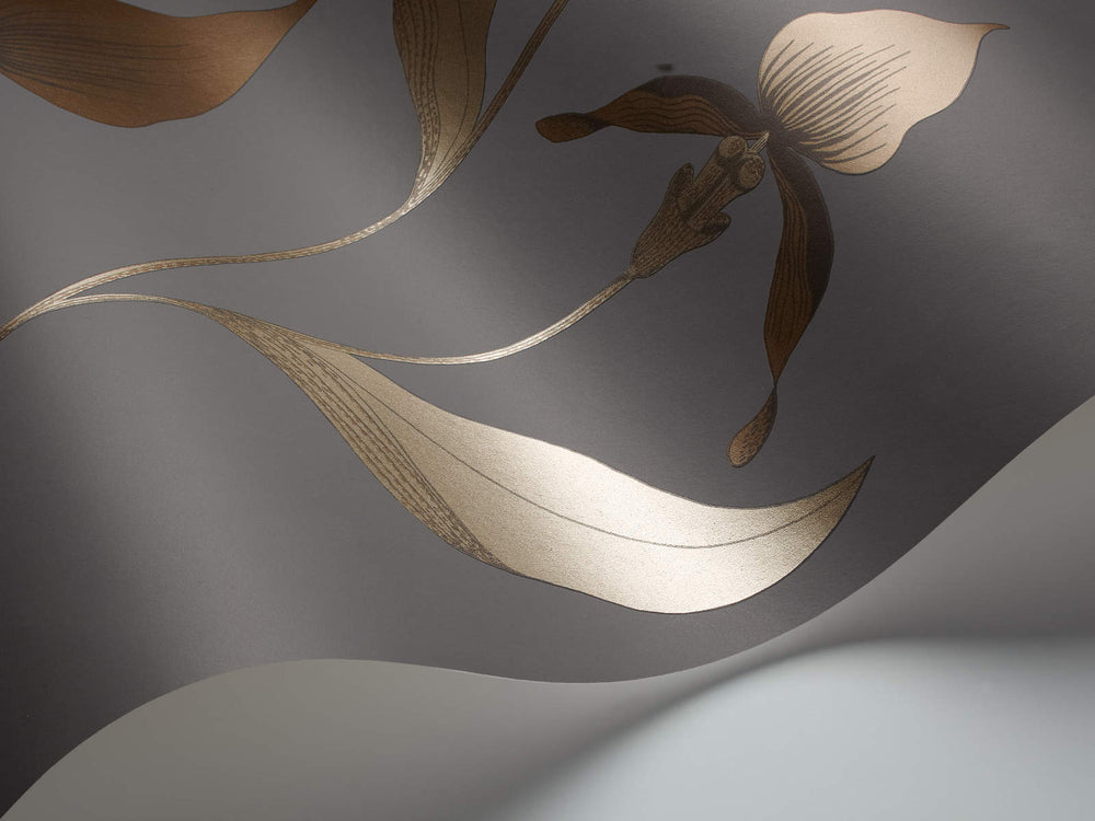 Cole & Son The Contemporary Collection Orchid - 95/10056