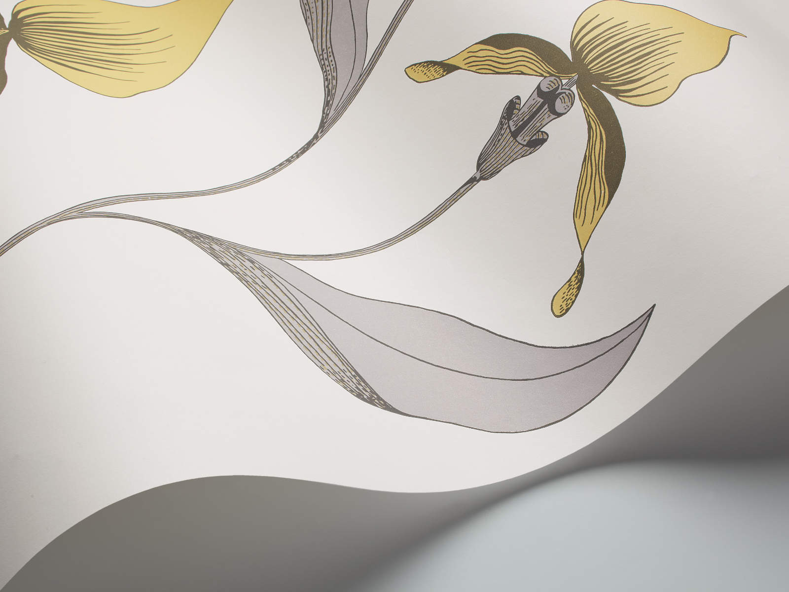 Cole & Son The Contemporary Collection Orchid - 95/10057