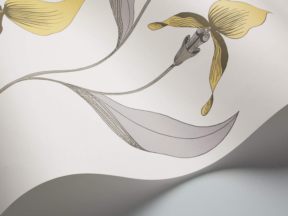 Cole & Son The Contemporary Collection Orchid - 95/10057