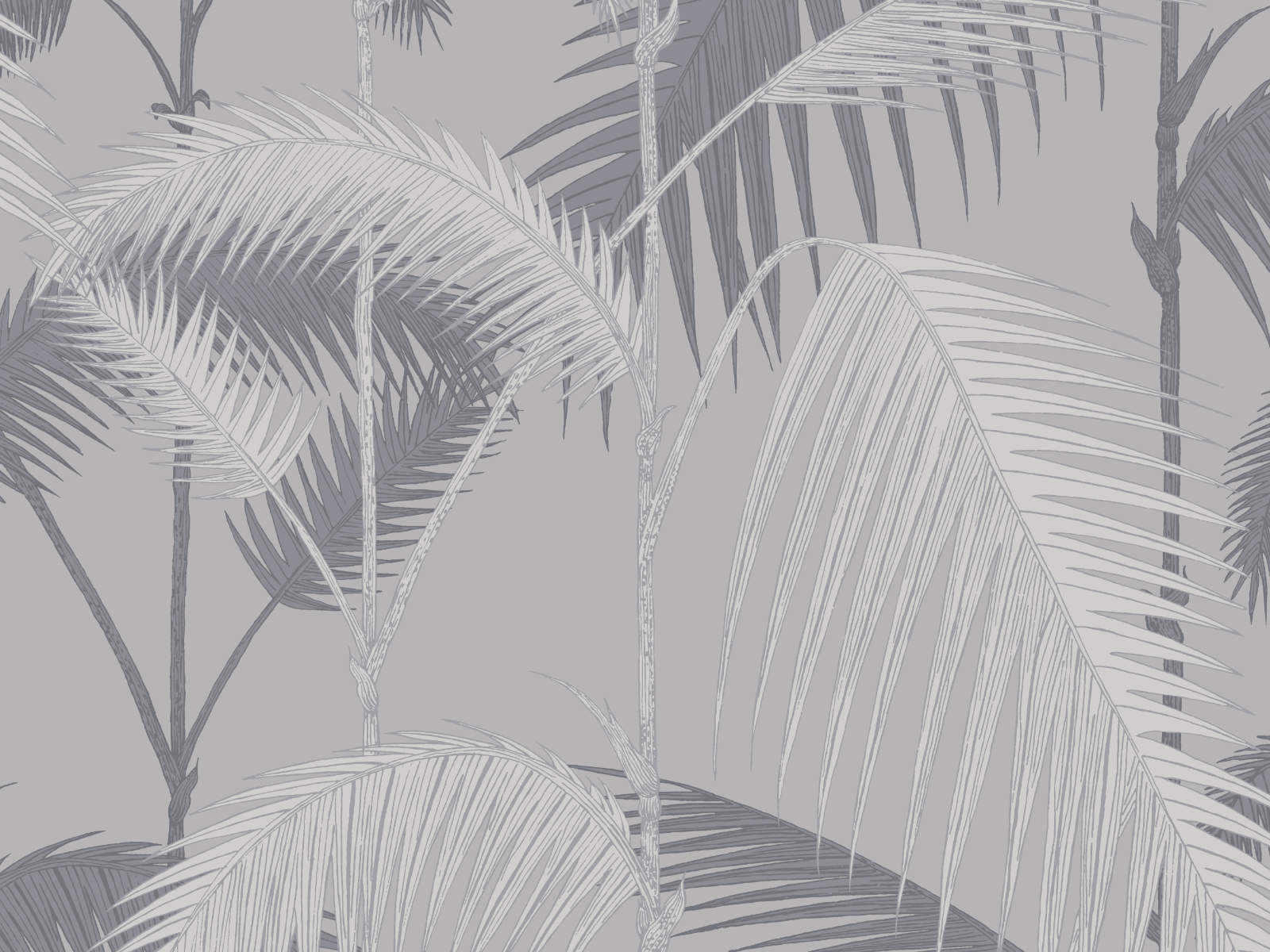 Cole & Son The Contemporary Collection Palm Jungle - 95/1007