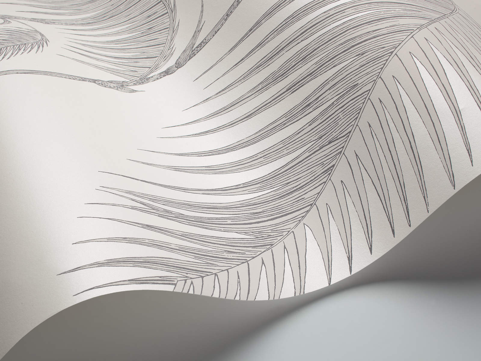 Cole & Son The Contemporary Collection Palm Leaves - 95/1008