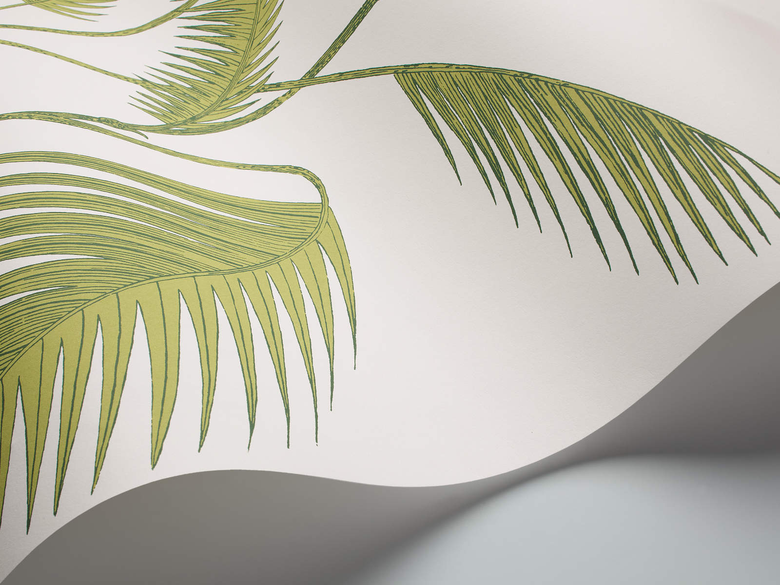 Cole & Son The Contemporary Collection Palm Leaves - 95/1009