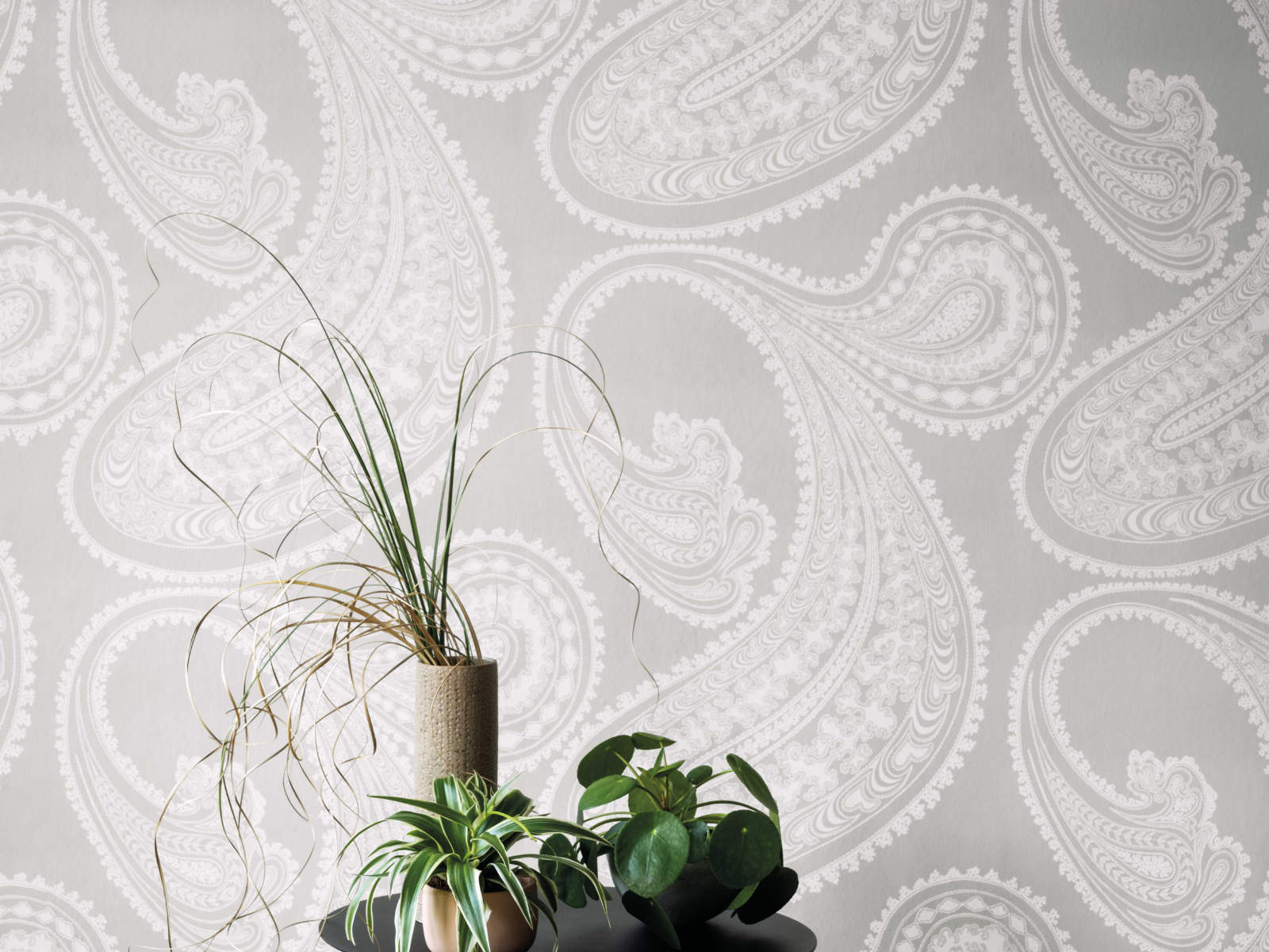 Cole & Son The Contemporary Collection Rajapur - 95/2012