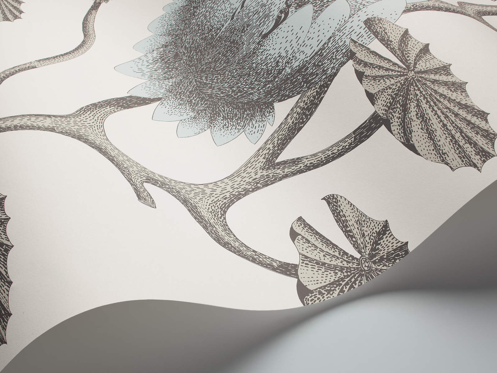 Cole & Son The Contemporary Collection Summer Lily - 95/4022