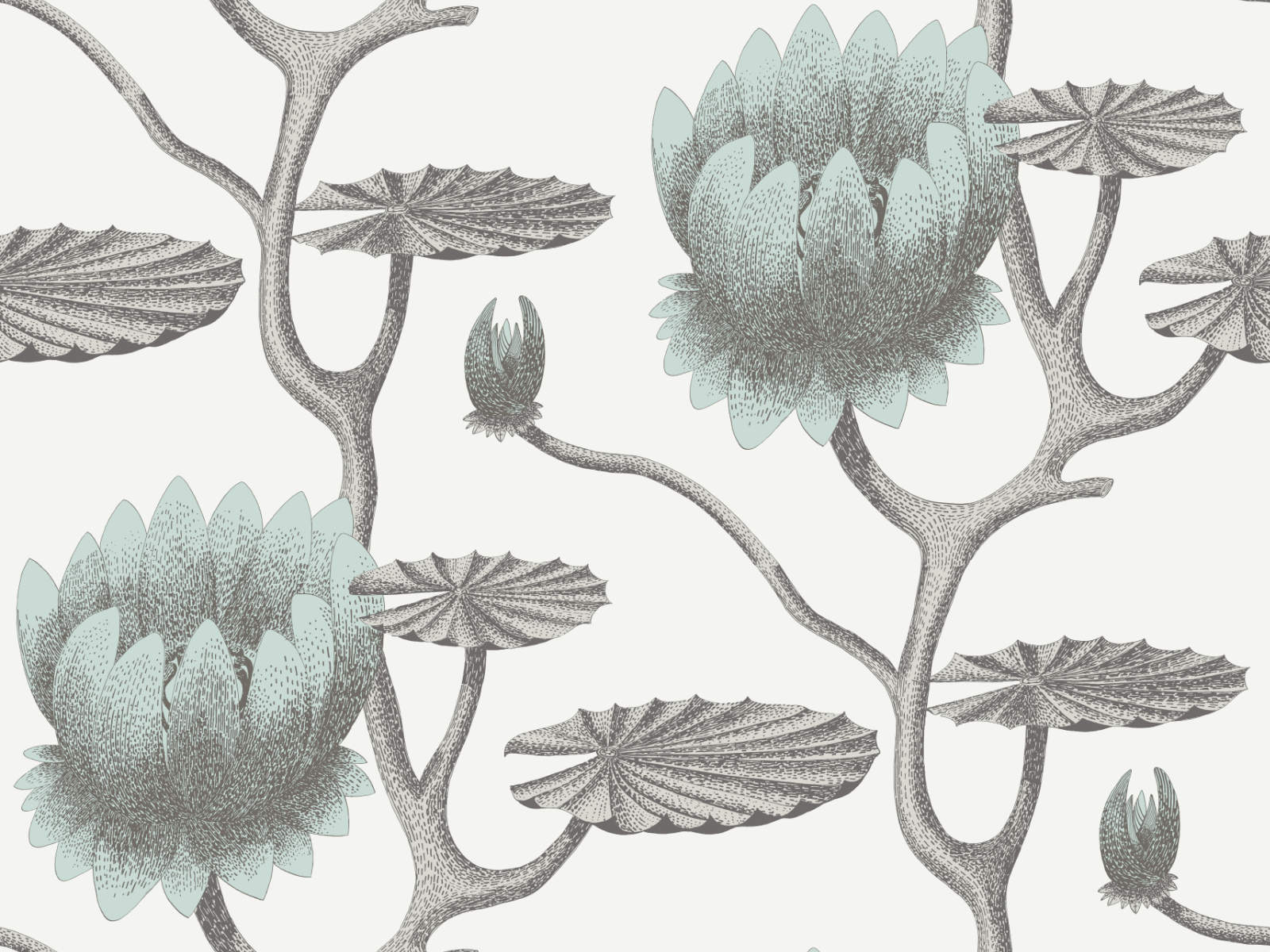 Cole & Son The Contemporary Collection Summer Lily - 95/4022