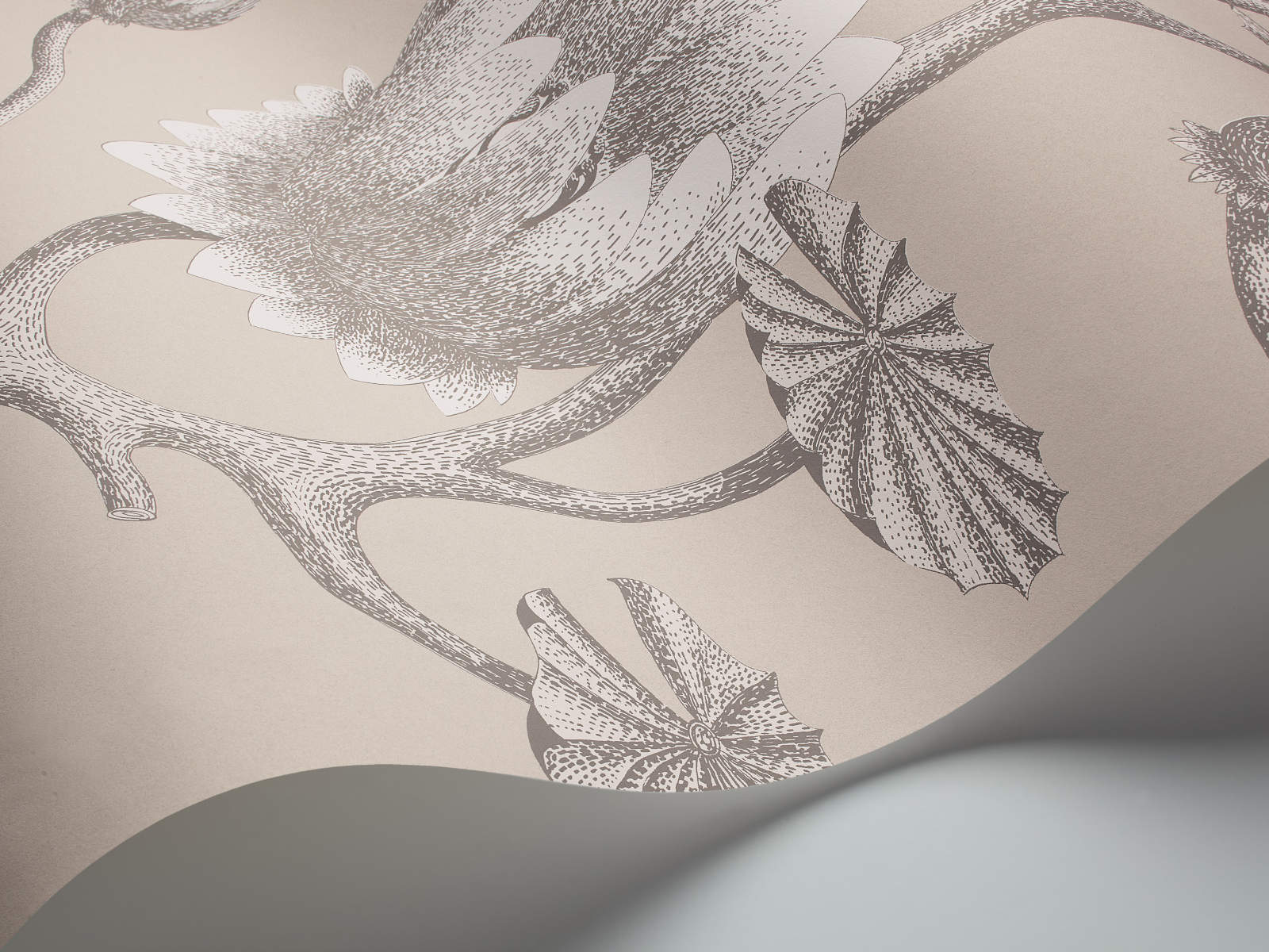 Cole & Son The Contemporary Collection Summer Lily - 95/4025