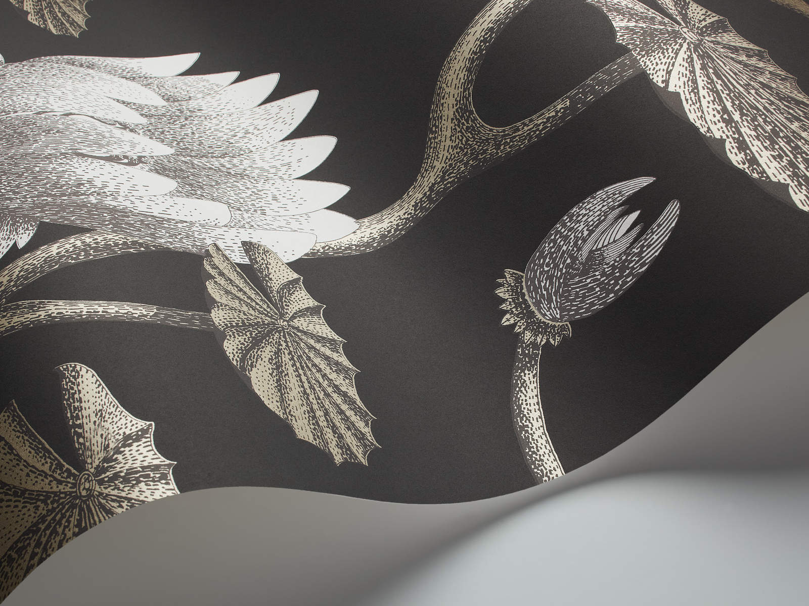 Cole & Son The Contemporary Collection Summer Lily - 95/4026