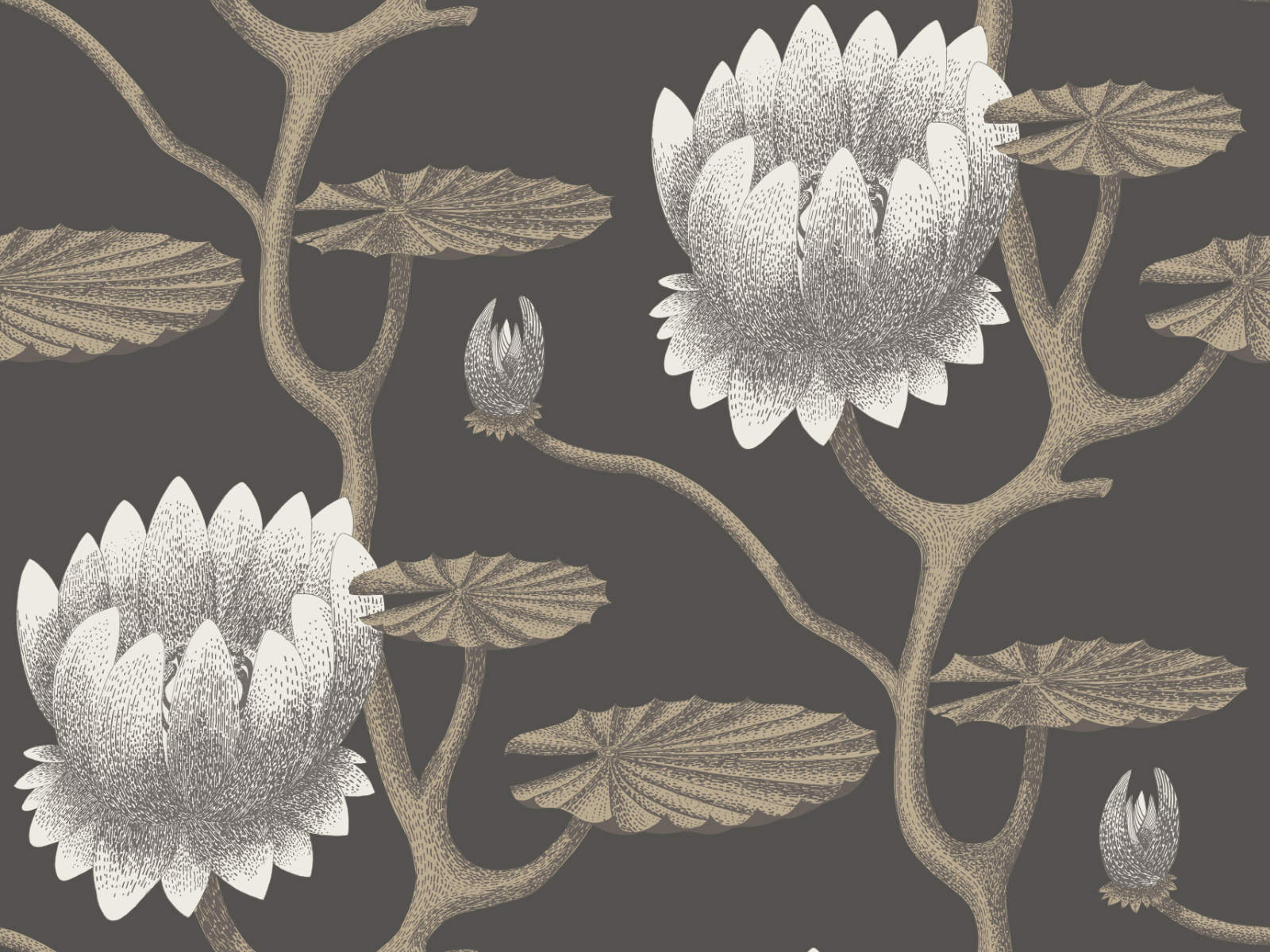 Cole & Son The Contemporary Collection Summer Lily - 95/4026