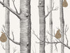 Cole & Son The Contemporary Collection Woods & Pears - 95/5027